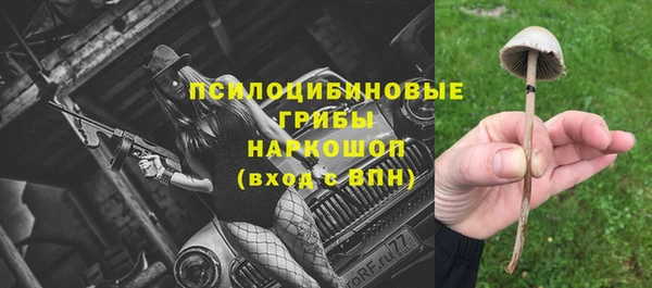 прущие грибы Алексеевка