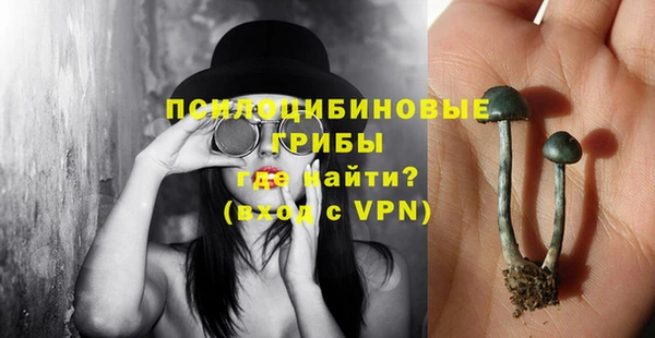 mdpv Арсеньев