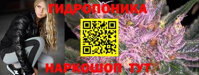 крисы Донской