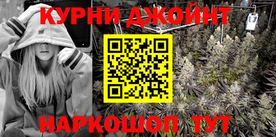 гидра Дубна