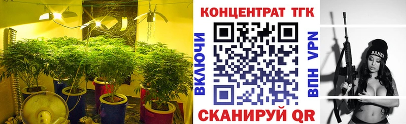 ТГК концентрат Мытищи