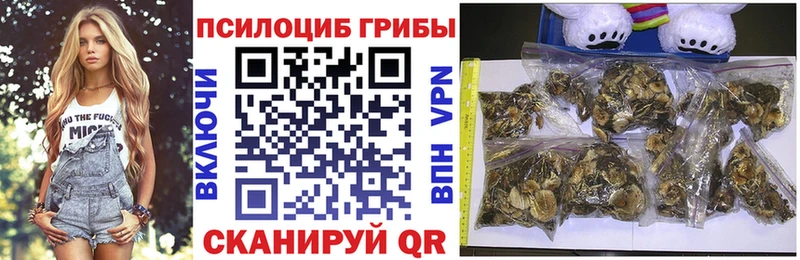 Псилоцибиновые грибы Magic Shrooms  Мытищи 