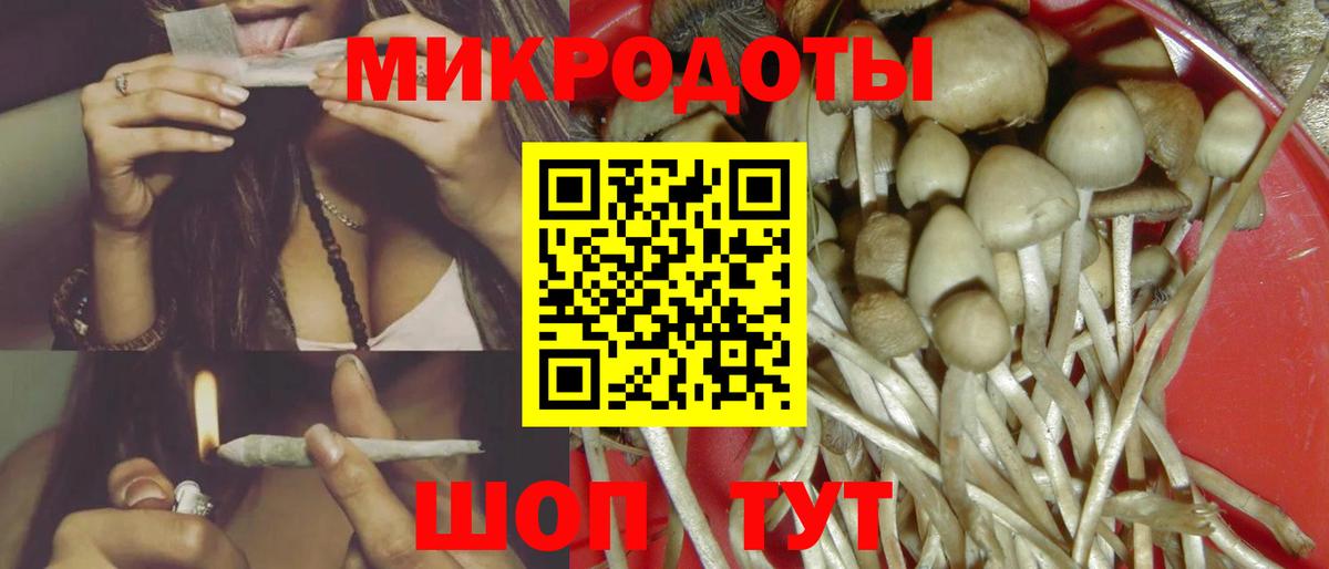 Галлюциногенные грибы Magic Shrooms  Вход с VPN  Псилоцибиновые грибы мицелий  Мытищи 